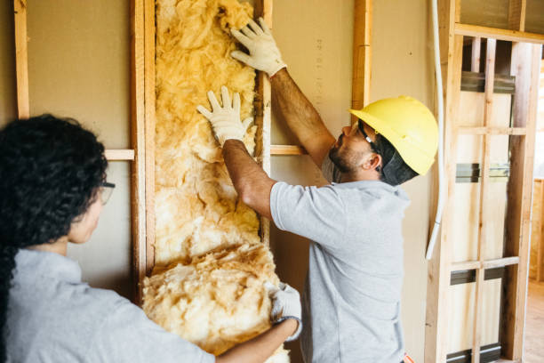 Types of Insulation We Offer in Dale City, VA